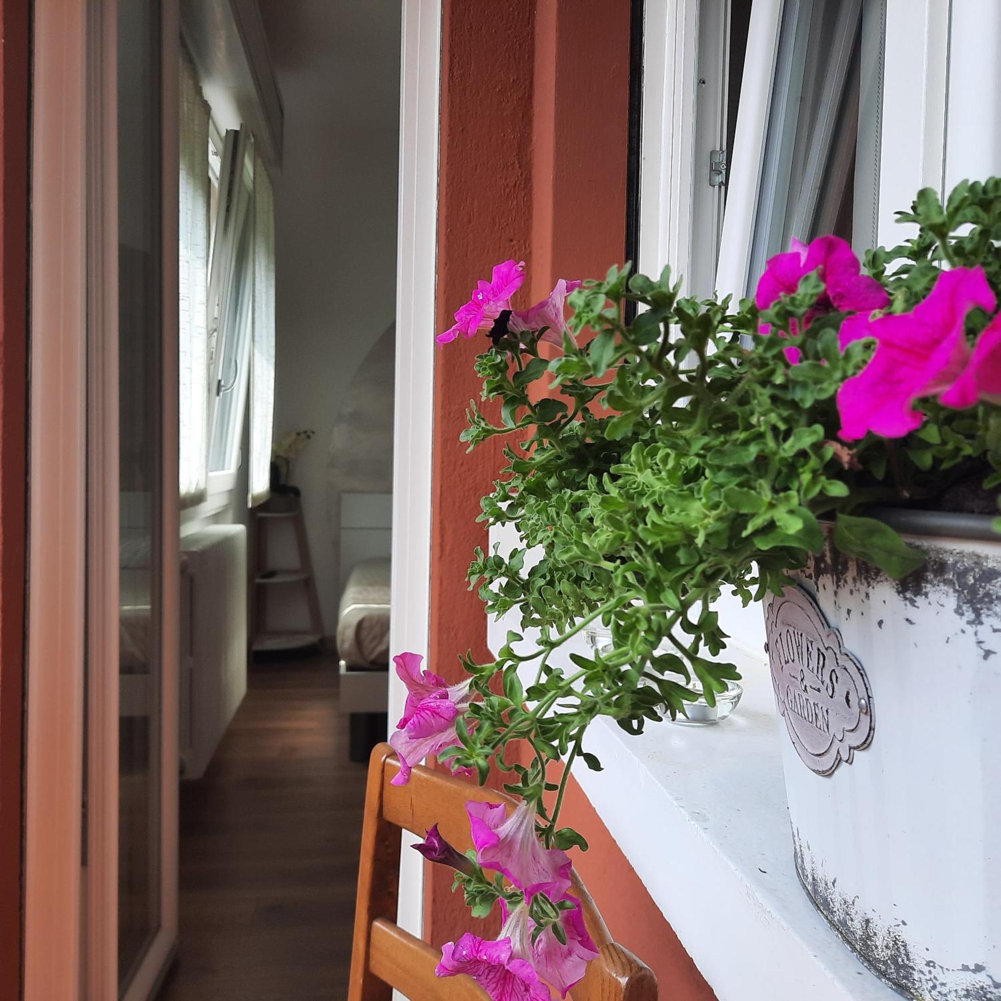 Sprio House Apartment Omegna Exterior foto